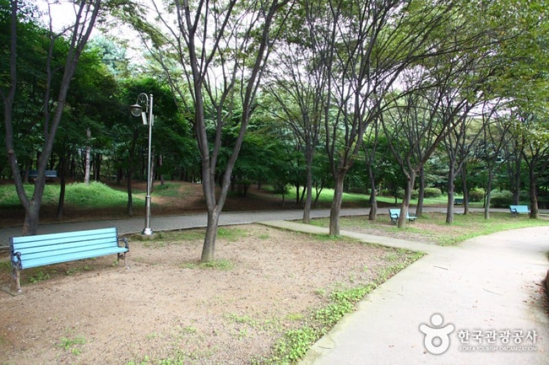 Yangjae Citizens' Park  (6/85)