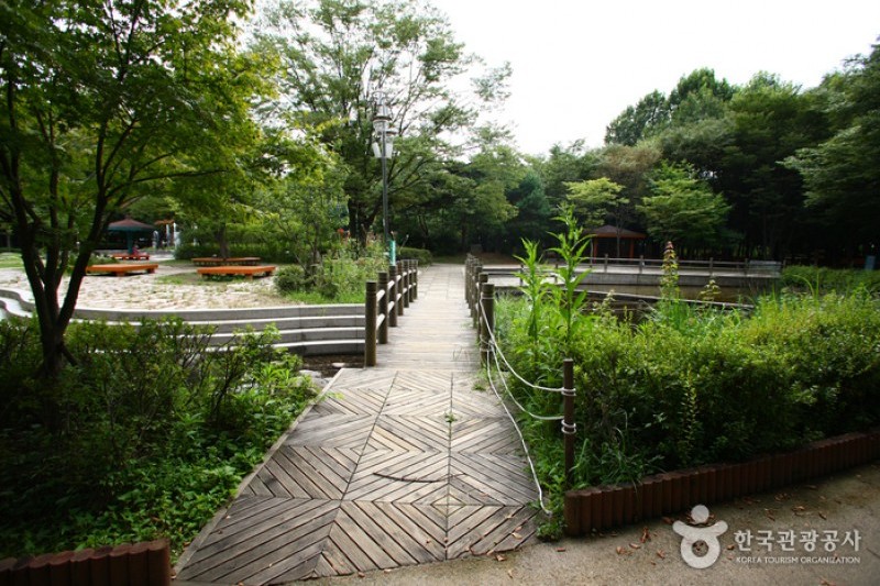 Yangjae Citizens' Park  (7/85)