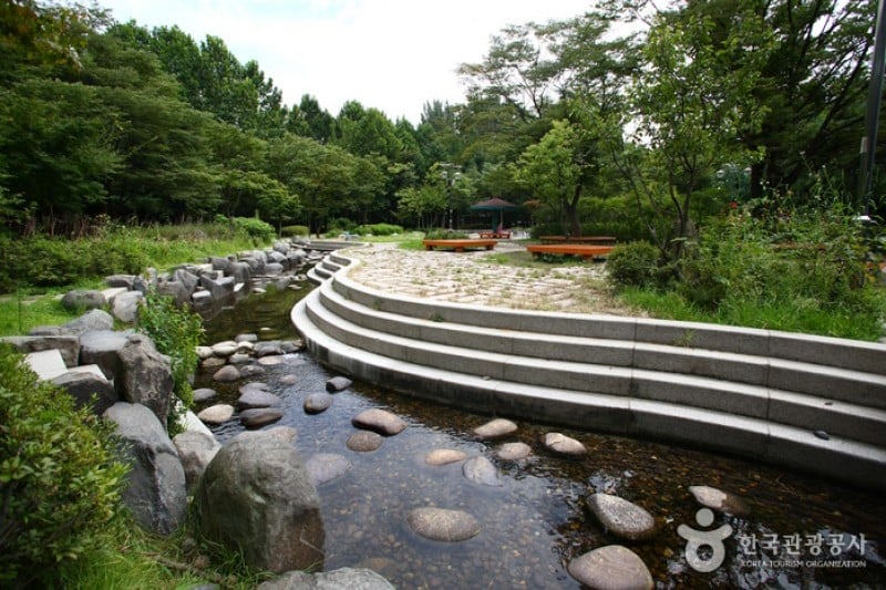 Yangjae Citizens' Park  (8/85)