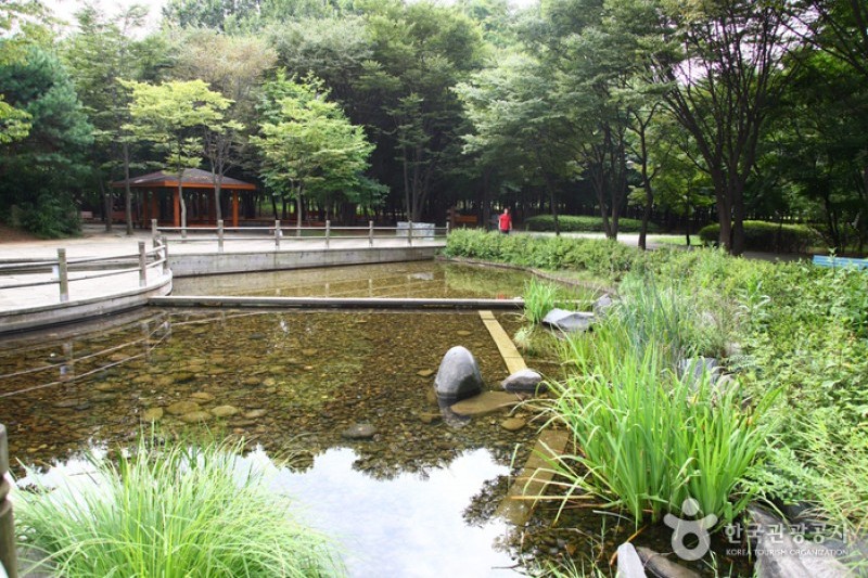 Yangjae Citizens' Park  (9/85)