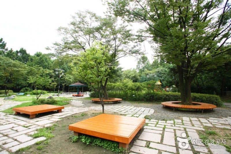 Yangjae Citizens' Park  (10/85)
