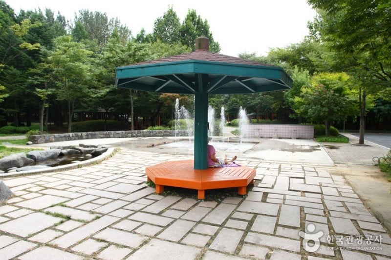 Yangjae Citizens' Park  (11/85)
