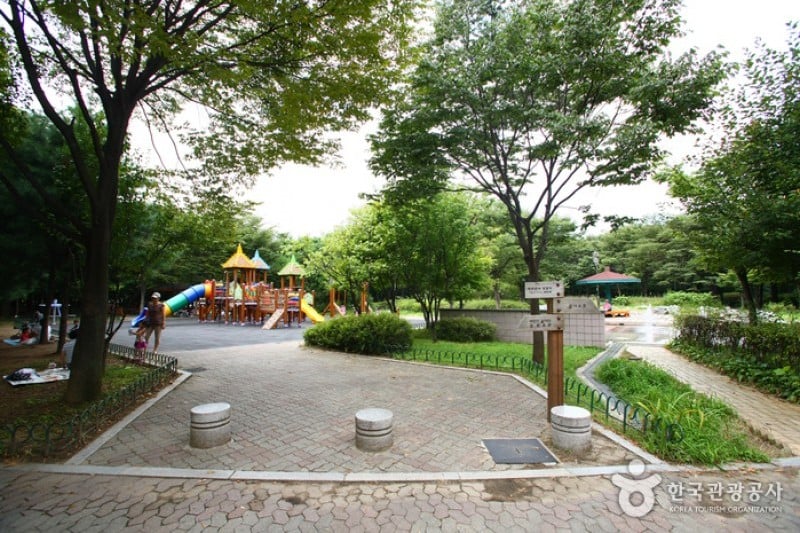 Yangjae Citizens' Park  (14/85)