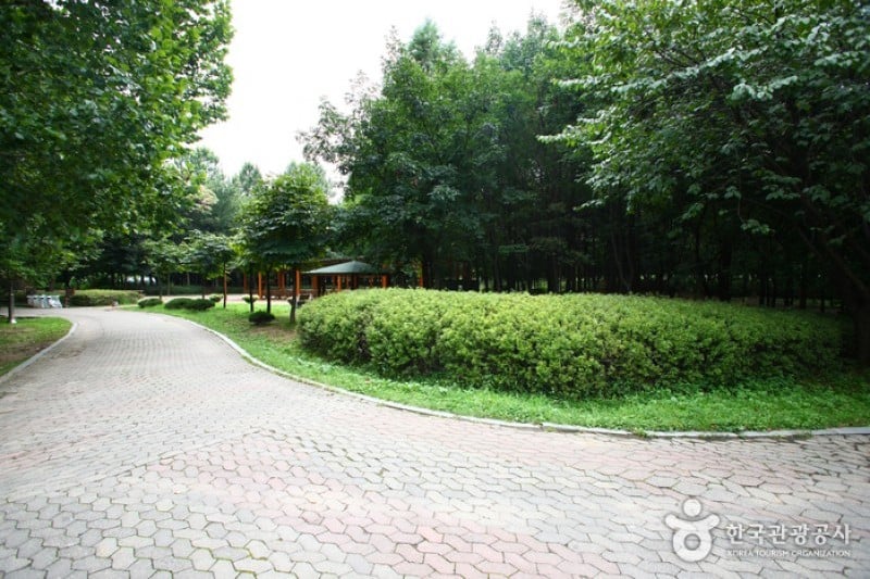 Yangjae Citizens' Park  (15/85)