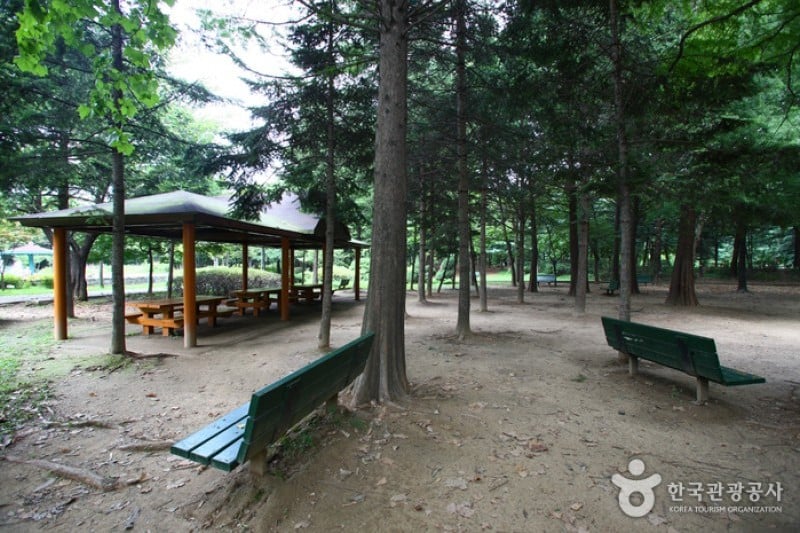 Yangjae Citizens' Park  (16/85)