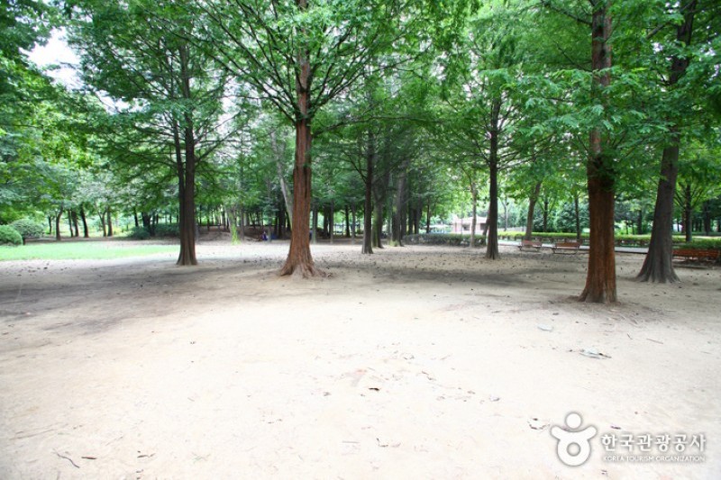 Yangjae Citizens' Park  (17/85)