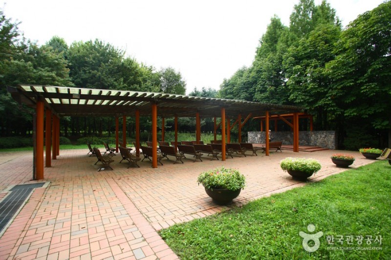 Yangjae Citizens' Park  (18/85)