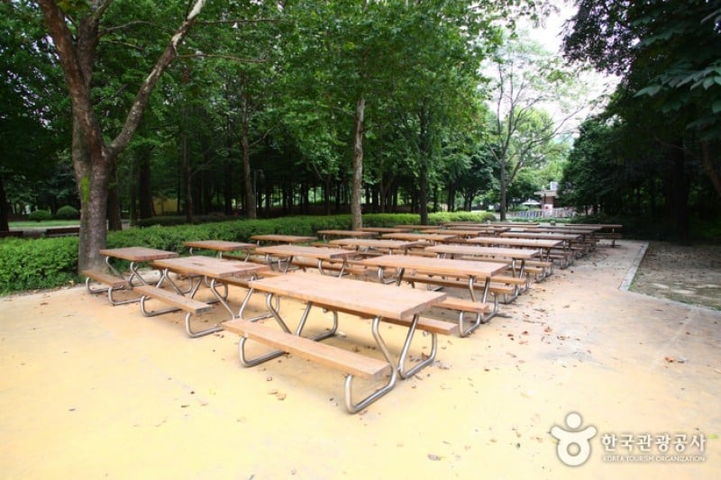 Yangjae Citizens' Park  (19/85)