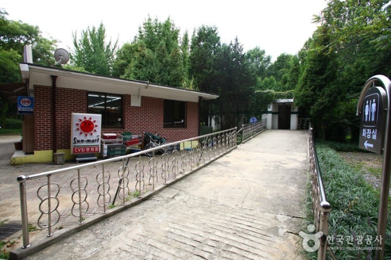 Yangjae Citizens' Park  (20/85)