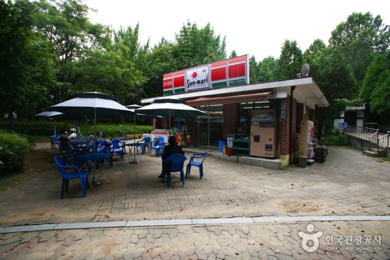 Yangjae Citizens' Park  (21/85)