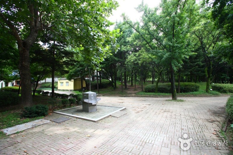 Yangjae Citizens' Park  (22/85)