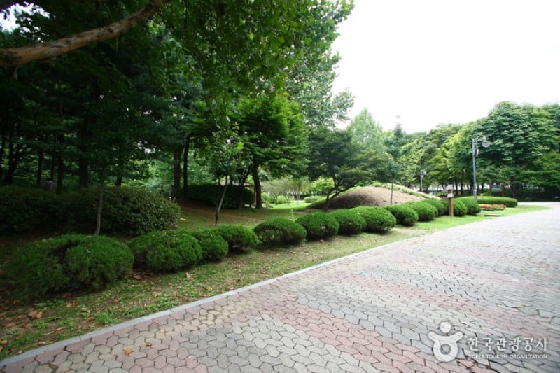 Yangjae Citizens' Park  (23/85)