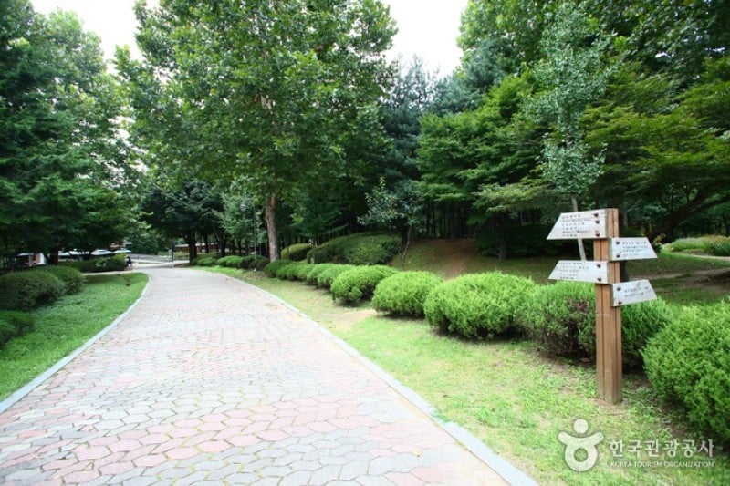 Yangjae Citizens' Park  (24/85)