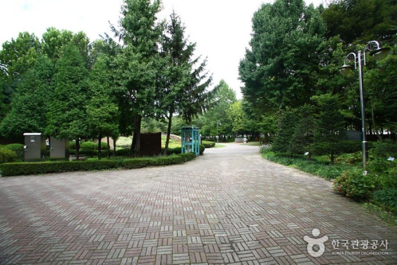 Yangjae Citizens' Park  (27/85)