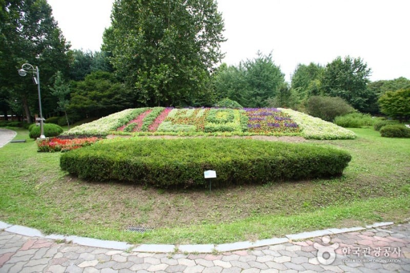 Yangjae Citizens' Park  (28/85)