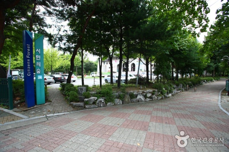 Yangjae Citizens' Park  (30/85)