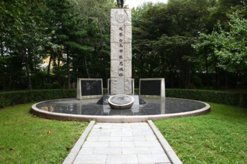 Yangjae Citizens' Park  (33/85)