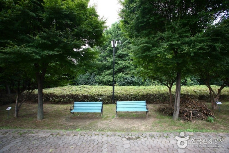 Yangjae Citizens' Park  (34/85)