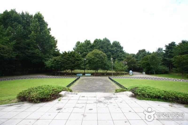 Yangjae Citizens' Park  (35/85)