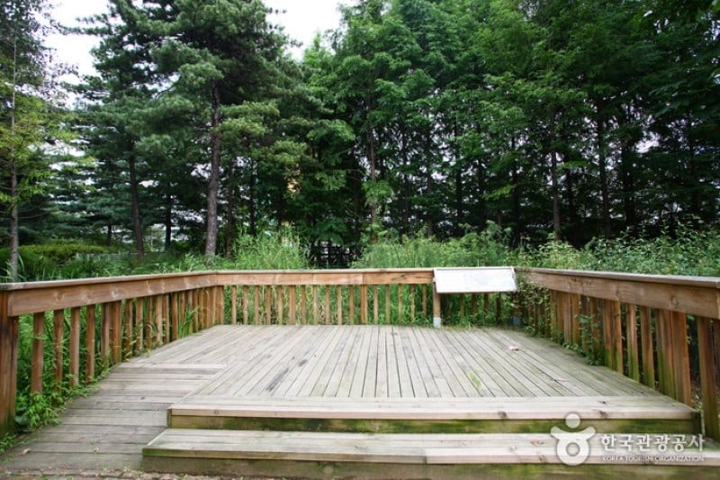 Yangjae Citizens' Park  (45/85)