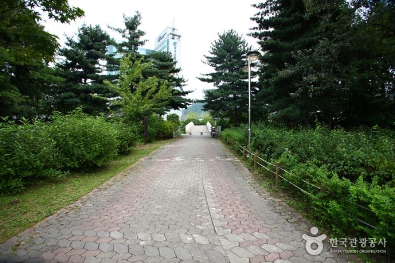 Yangjae Citizens' Park  (46/85)