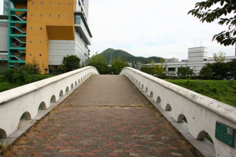 Yangjae Citizens' Park  (47/85)