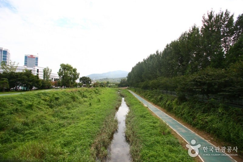 Yangjae Citizens' Park  (48/85)