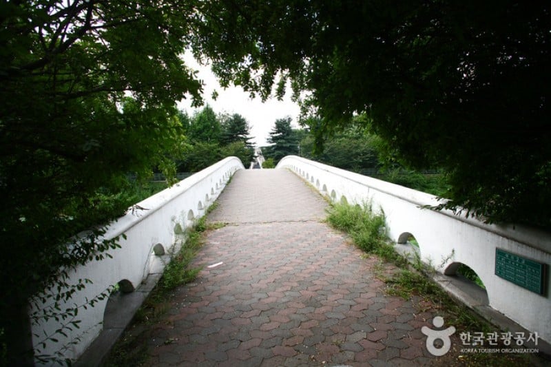 Yangjae Citizens' Park  (49/85)
