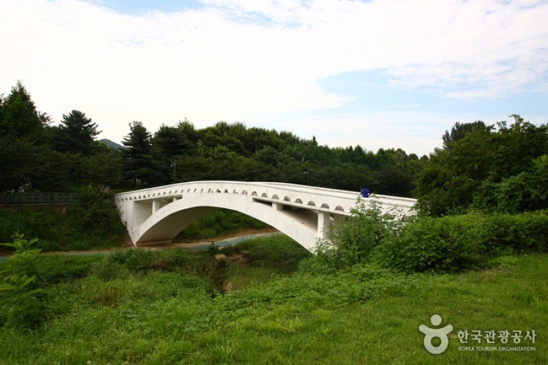 Yangjae Citizens' Park  (50/85)