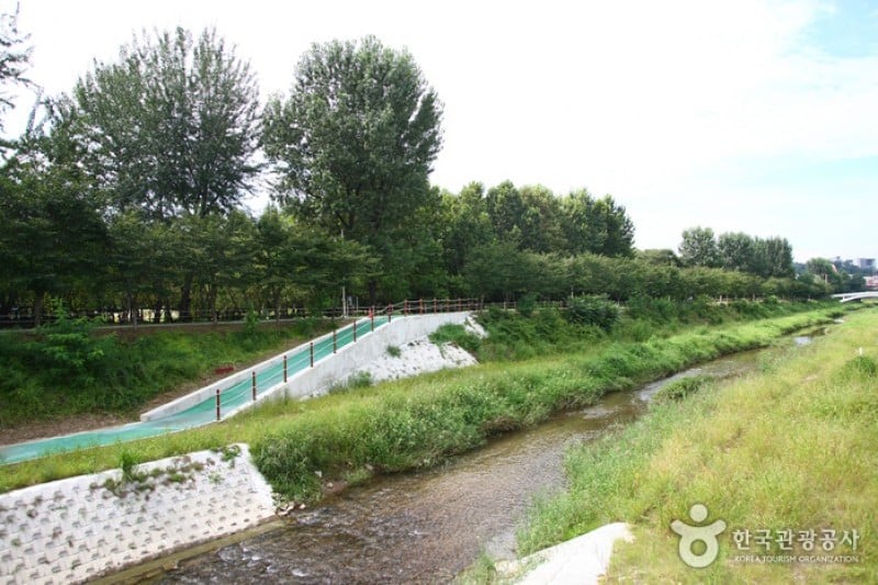 Yangjae Citizens' Park  (51/85)