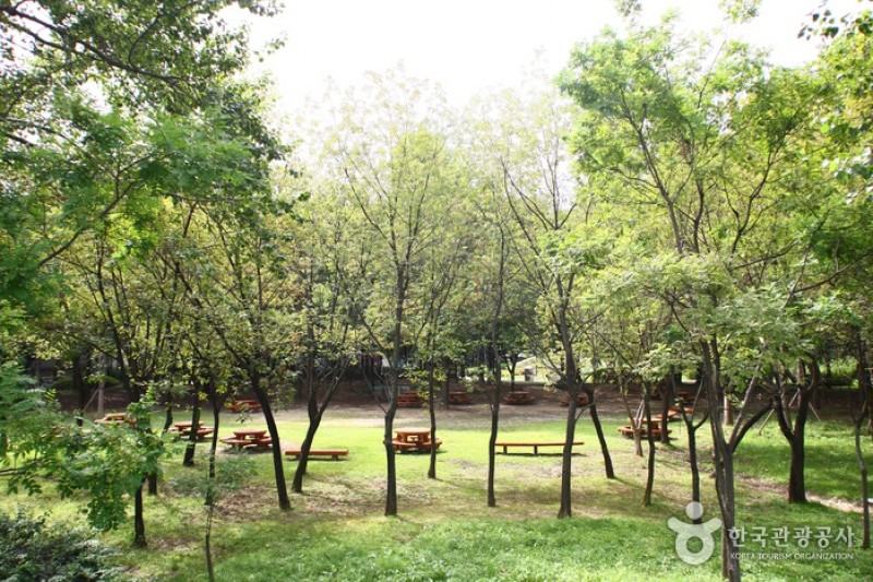 Yangjae Citizens' Park  (52/85)