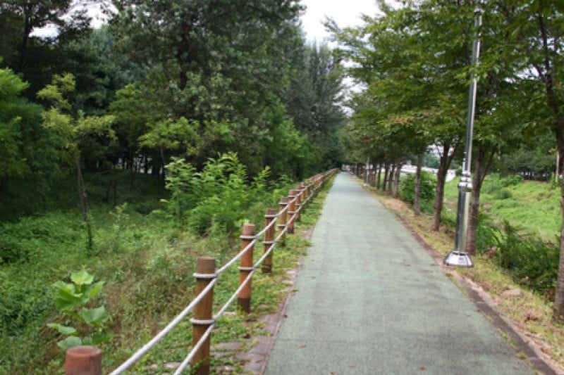 Yangjae Citizens' Park  (53/85)