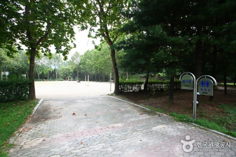 Yangjae Citizens' Park  (54/85)