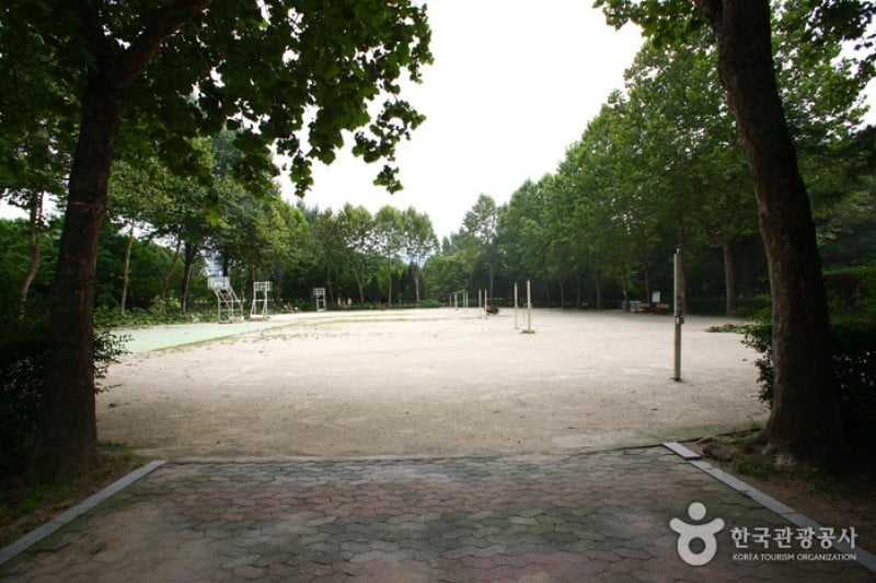 Yangjae Citizens' Park  (55/85)