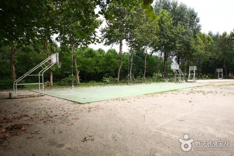 Yangjae Citizens' Park  (56/85)