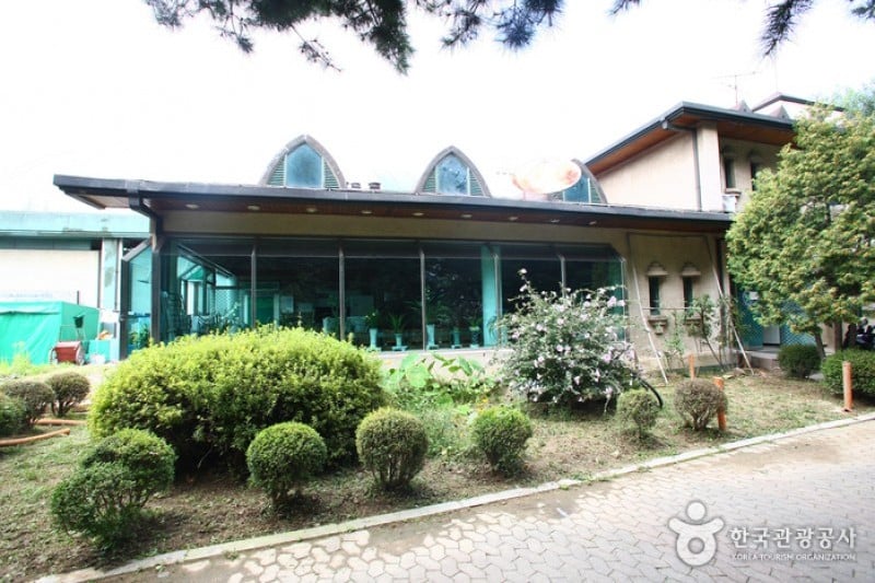 Yangjae Citizens' Park  (58/85)