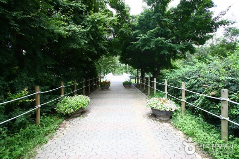 Yangjae Citizens' Park  (60/85)