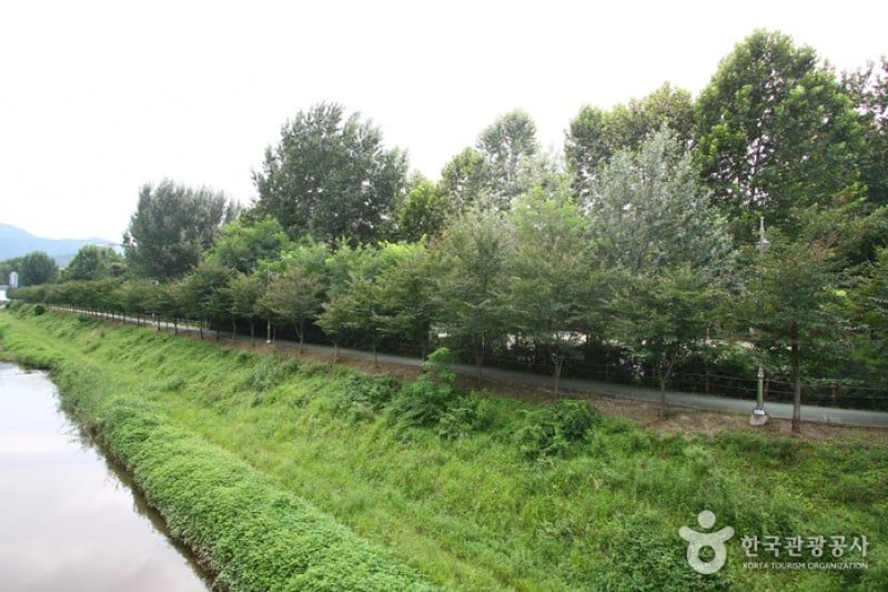 Yangjae Citizens' Park  (61/85)