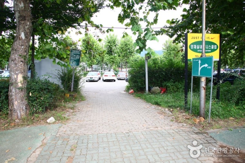 Yangjae Citizens' Park  (62/85)