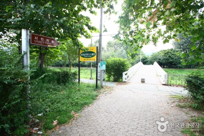 Yangjae Citizens' Park  (63/85)