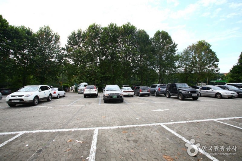 Yangjae Citizens' Park  (64/85)