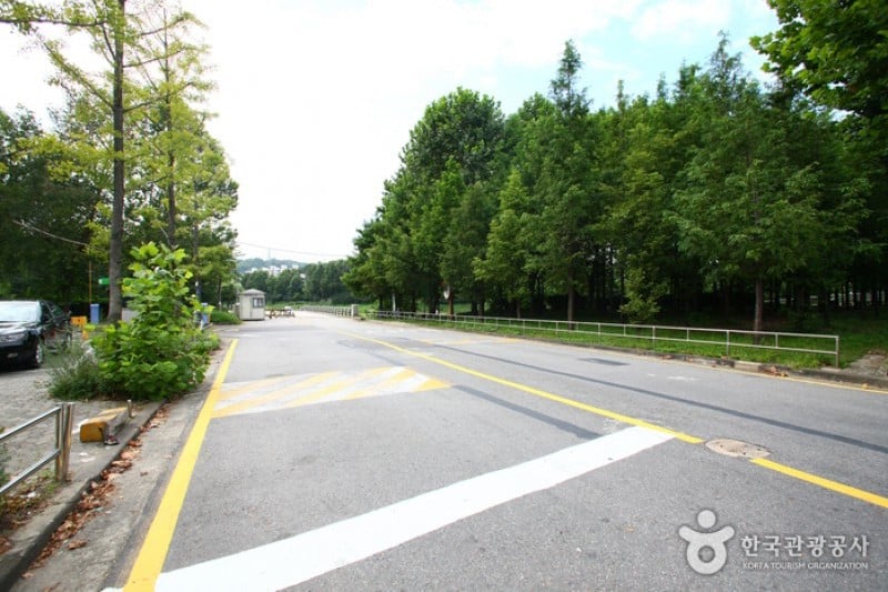 Yangjae Citizens' Park  (65/85)