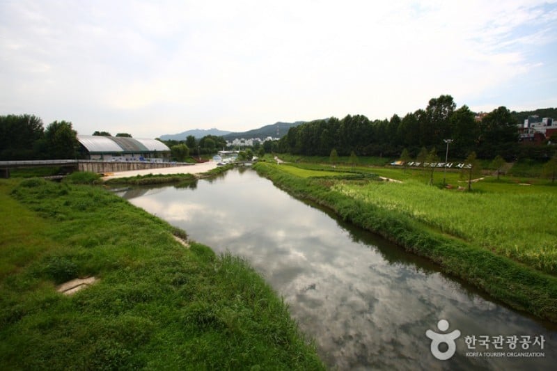 Yangjae Citizens' Park  (67/85)