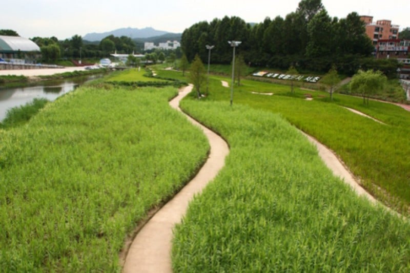 Yangjae Citizens' Park  (68/85)