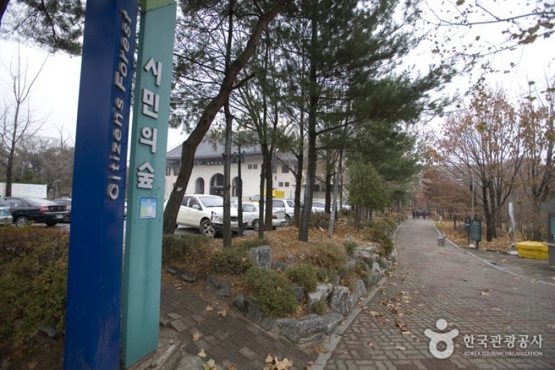 Yangjae Citizens' Park  (69/85)