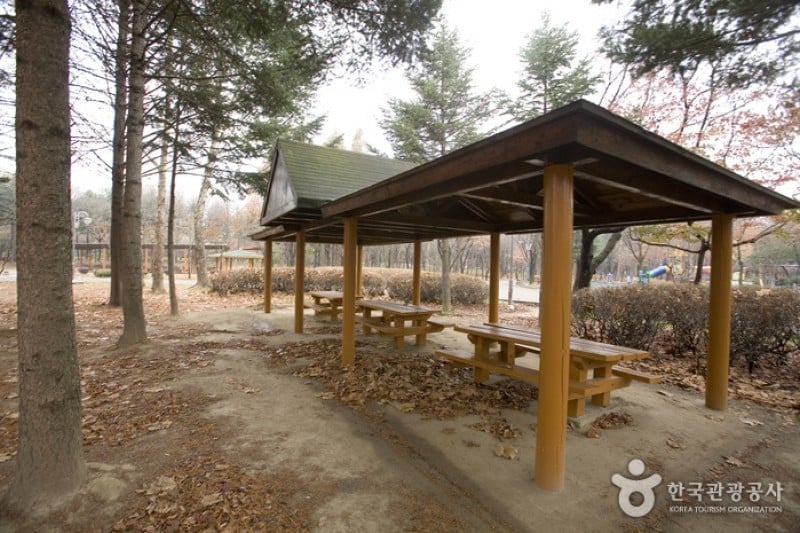 Yangjae Citizens' Park  (73/85)