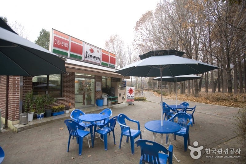 Yangjae Citizens' Park  (74/85)