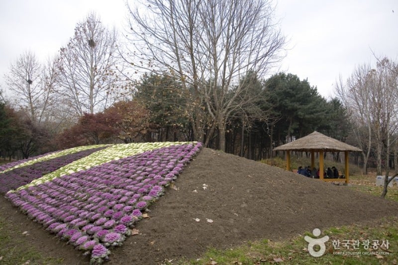 Yangjae Citizens' Park  (75/85)