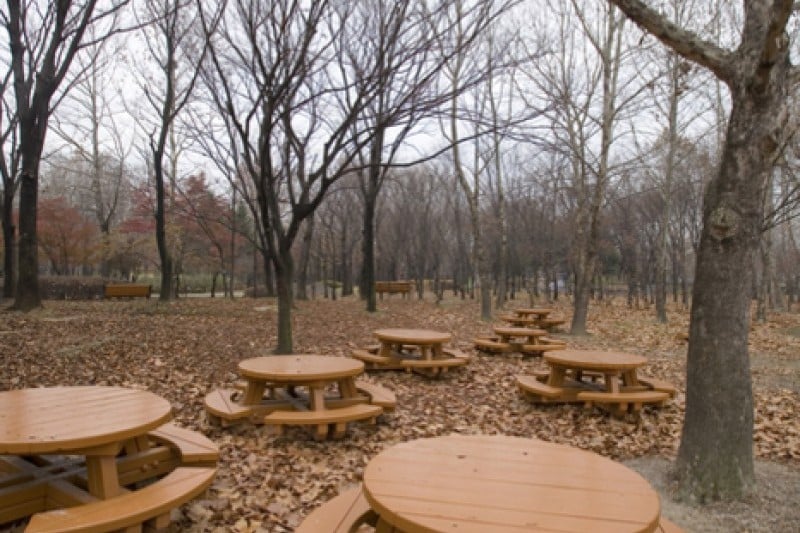 Yangjae Citizens' Park  (76/85)