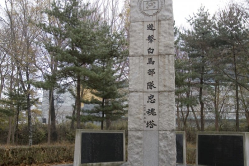 Yangjae Citizens' Park  (77/85)